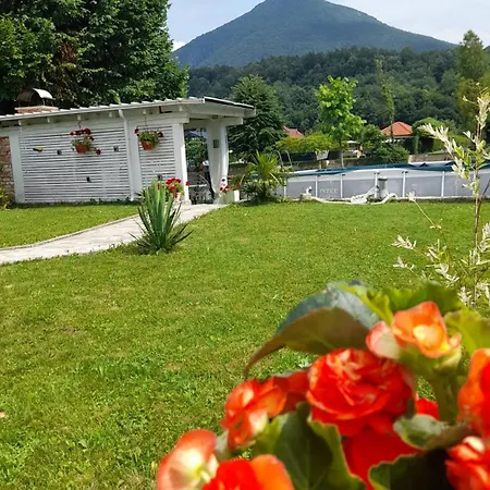 Luxury Vila